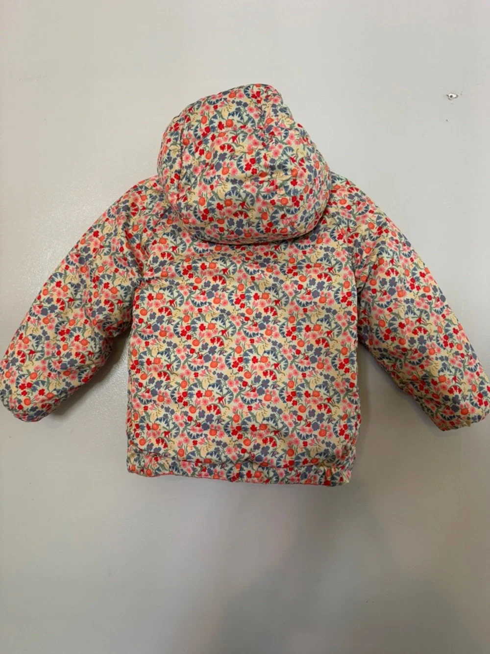 Patagonia down hoodie